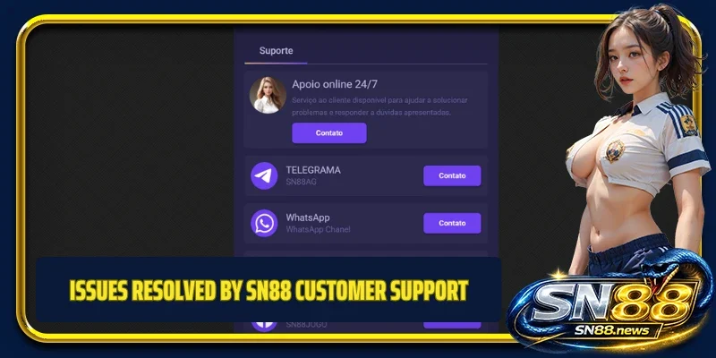 Issues resolved by SN88 customer support