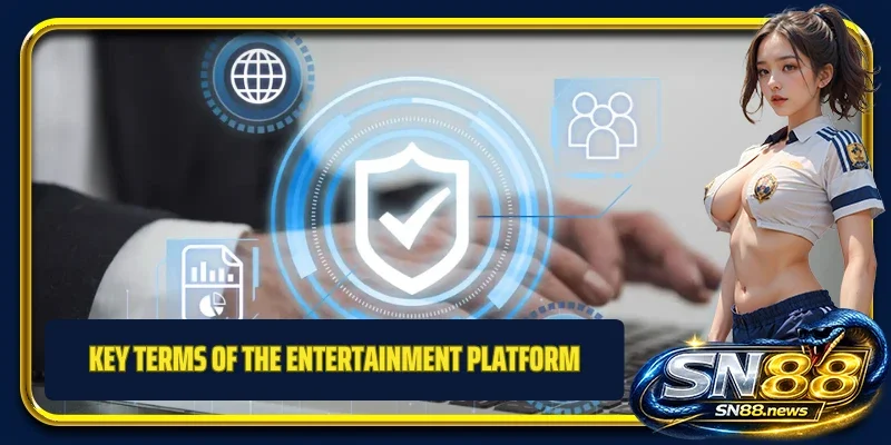 Key terms of the entertainment platform