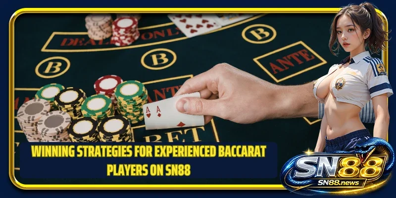 Winning strategies for experienced baccarat players on SN88